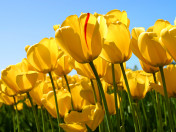 user1025994 user icon