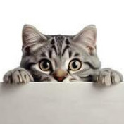 user3553372 user icon